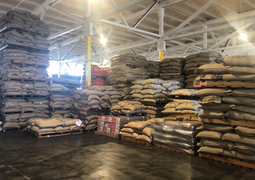 Doing Work Coffee Shop & Roaster